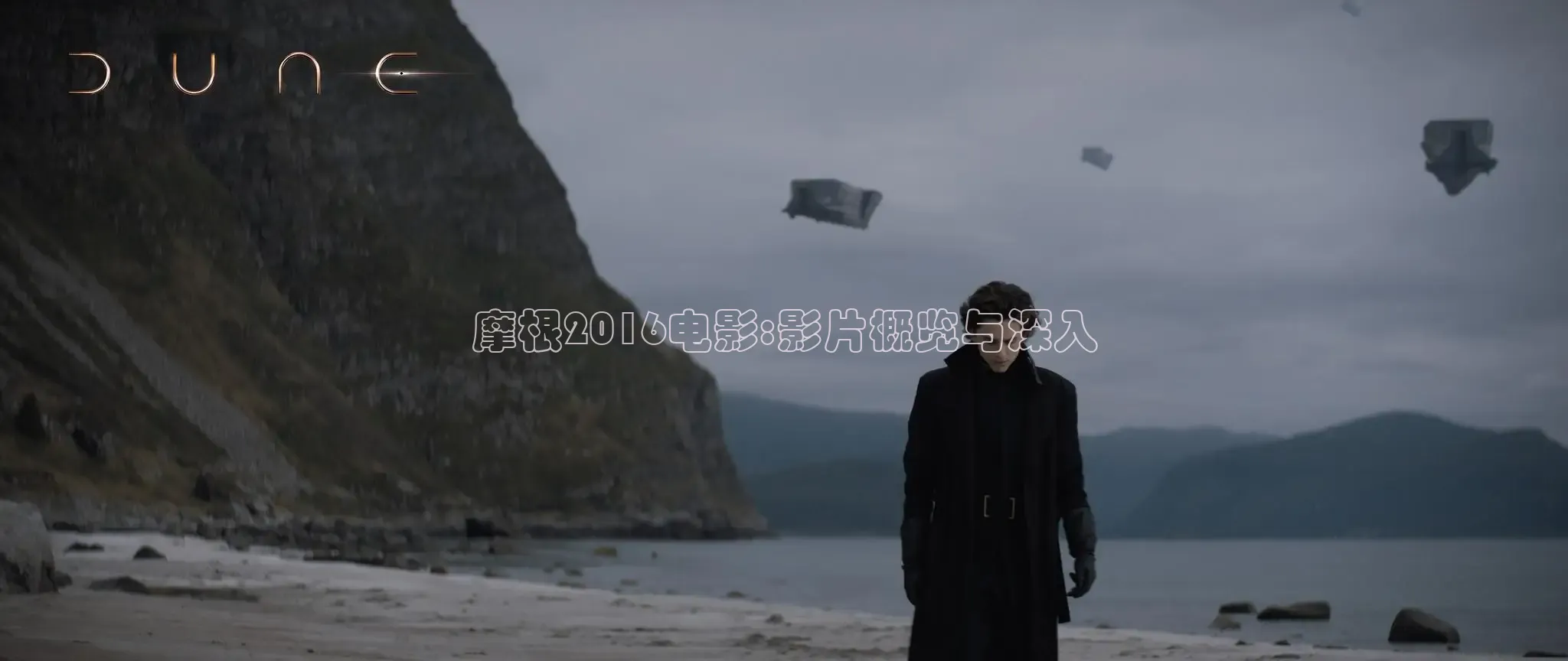 达达兔在线观看